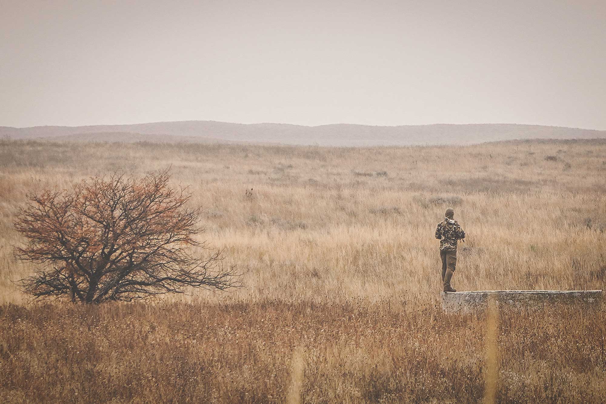 man wearing camo looking over a field