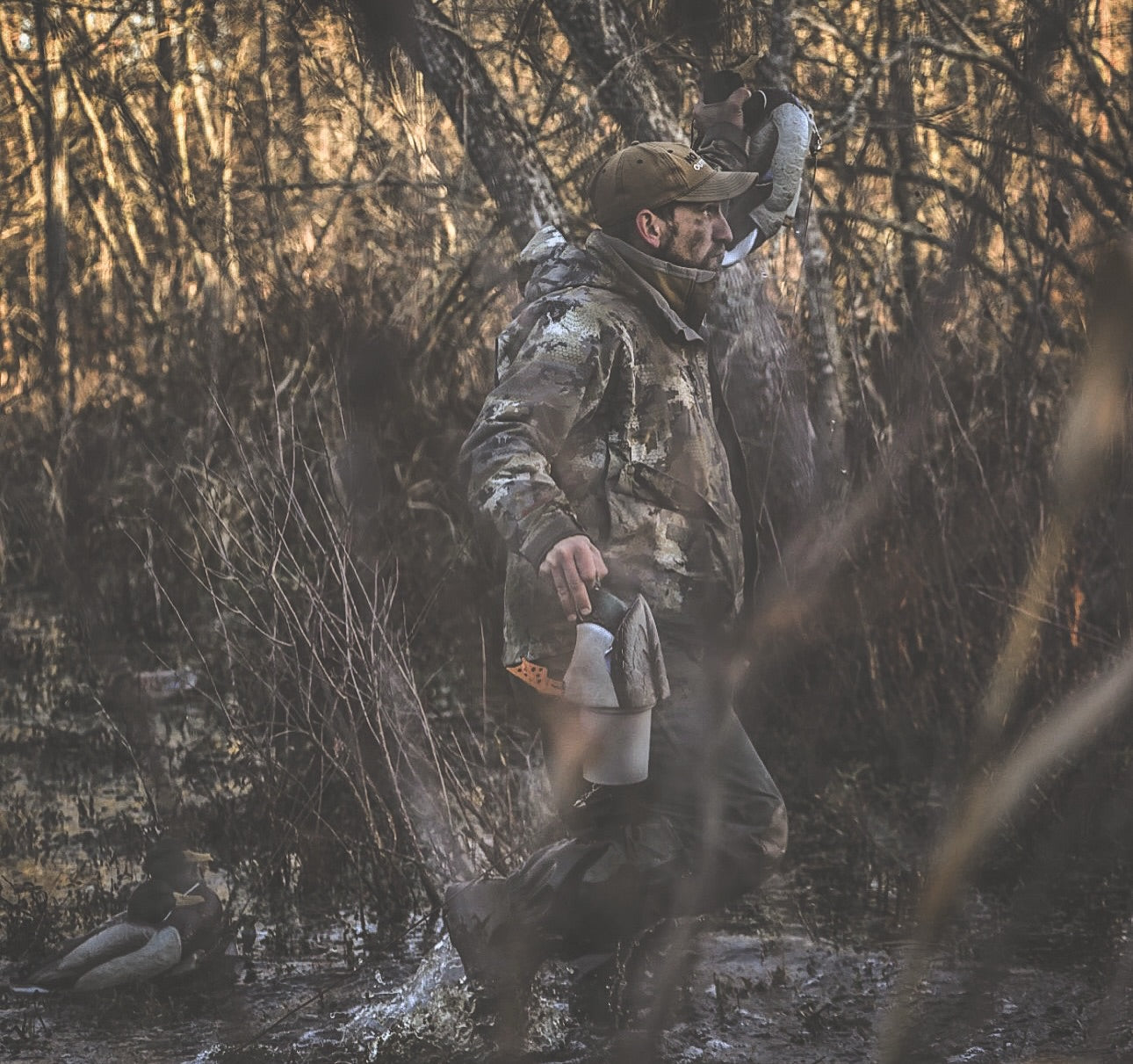 hunting carrying duck decoys as he wades through water